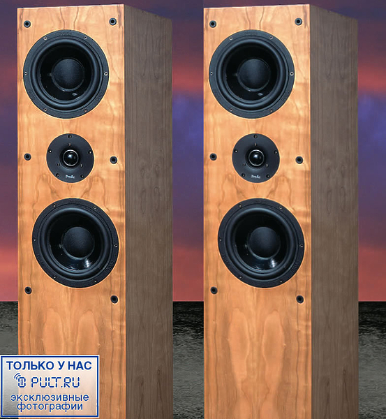 Акустическая система ProAc Response D38 mahogany артикул 424327FV-1 фото 7