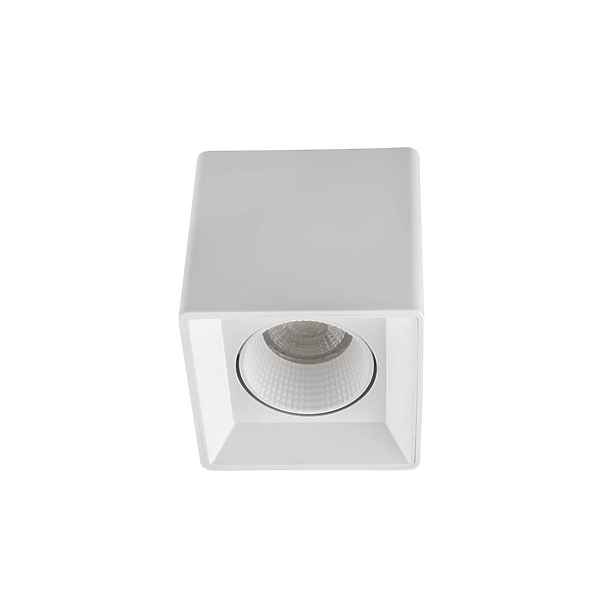 Светильник накладной Denkirs DK3080-WH  (White) артикул 270657Si-1