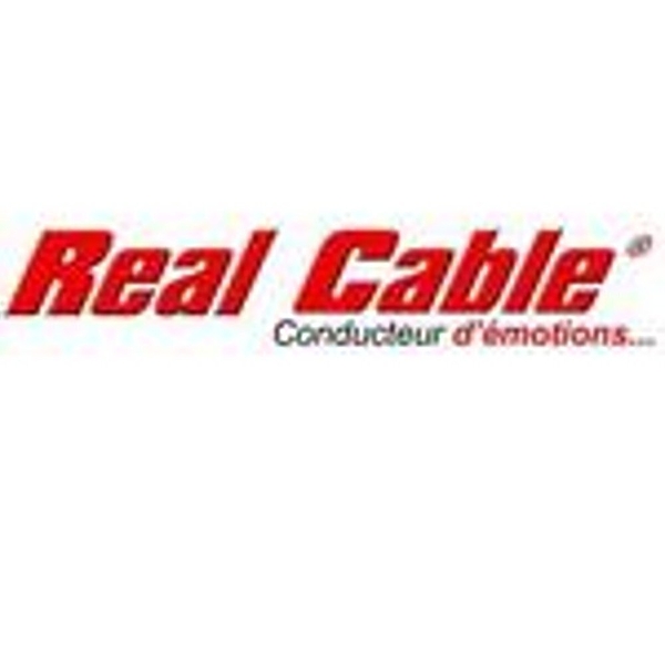 HDMI свитчер Real Cable HD21SM артикул 335407SI-1 фото 4