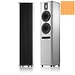 Напольная акустика Piega Premium 50.2 Coated Golden Oak Glanz/decoral alu/black