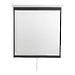 Экран Digis DSOD-1104 (Optimal-D, формат 1:1, 100", 186x189, рабочая поверхность 180x180, MW)