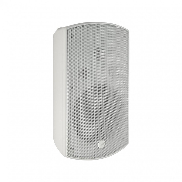 Настенная акустика CVGaudio RF616TW артикул 137058Si-1