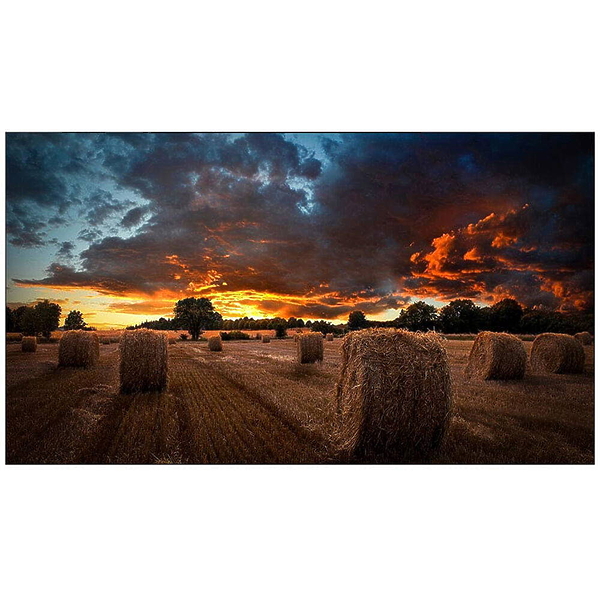 LED панель Samsung VM55T-U артикул 251946Si-1 в интернет-магазине «HiFiRussia»