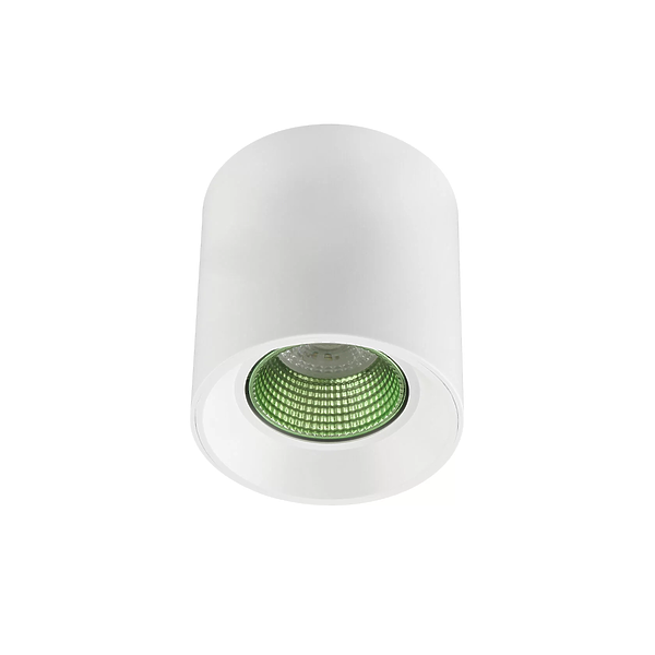 Светильник накладной Denkirs DK3090-WH+GR (White Green) артикул 270702Si-1 фото 3