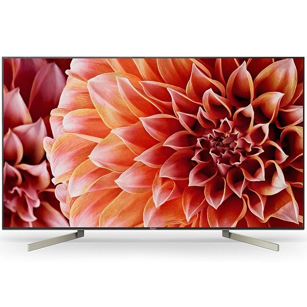LED телевизор Sony KD-49XF9005 артикул 176117Si-1