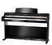 Клавишный инструмент Kurzweil CUP110 BP Andante
