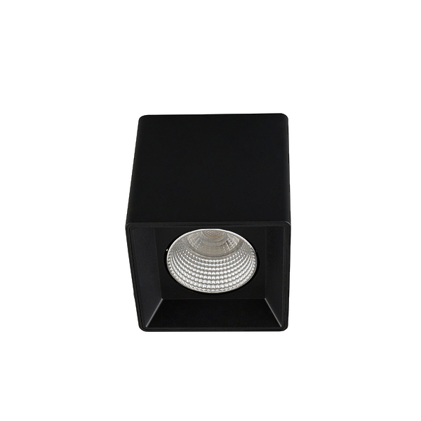 Светильник накладной Denkirs DK3080-BK+CH (Black Chrome) артикул 270648Si-1