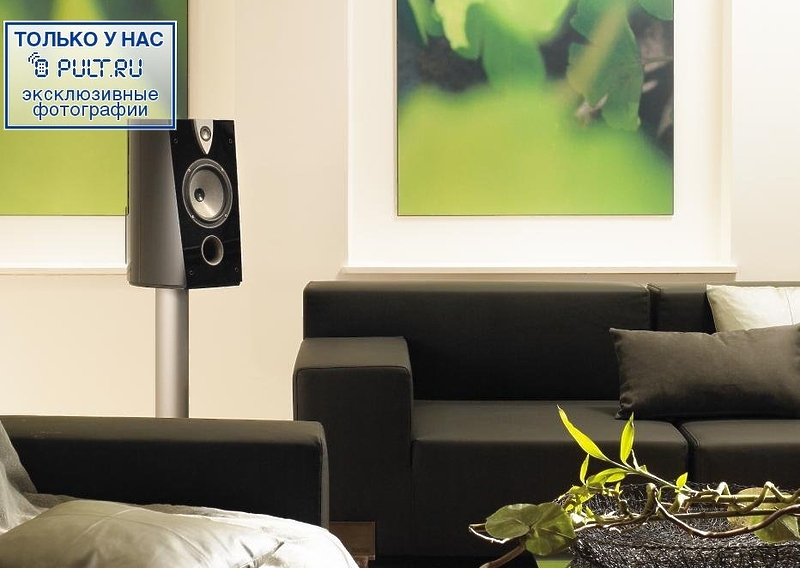 Акустическая система Focal-JMlab Profile 908 diamond black артикул 444449FV-1 фото 5