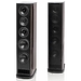 T+A TCD 210 S Macassar ebony