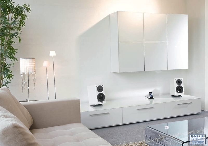 Акустическая система Dynaudio Focus 110 A rosewood артикул 443750FV-1 фото 18