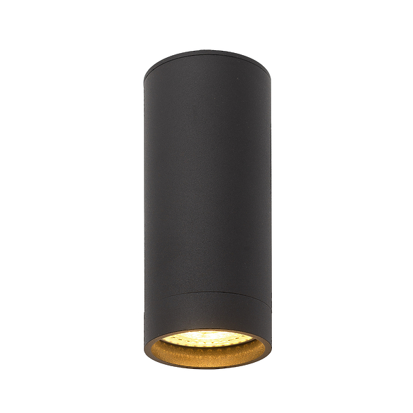 Светильник накладной Denkirs DK2051-BK (Black) артикул 270501Si-1