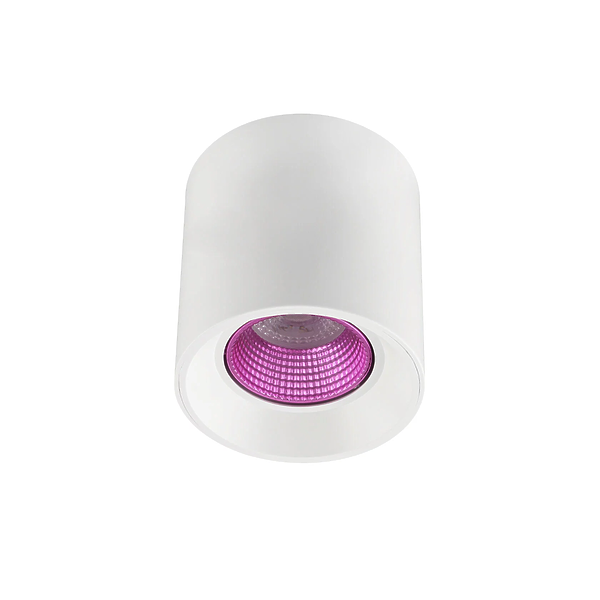 Светильник накладной Denkirs DK3090-WH+PI (White Pink) артикул 270704Si-1