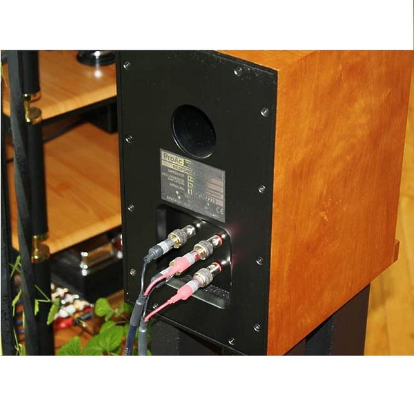 Акустическая система ProAc Response D One ebony артикул 445494FV-1 фото 4