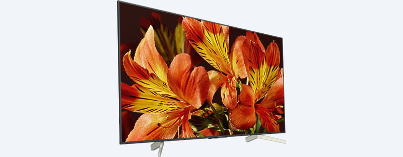 LED телевизор Sony KD-65XF8596BR2 артикул 176152Si-1 фото 6