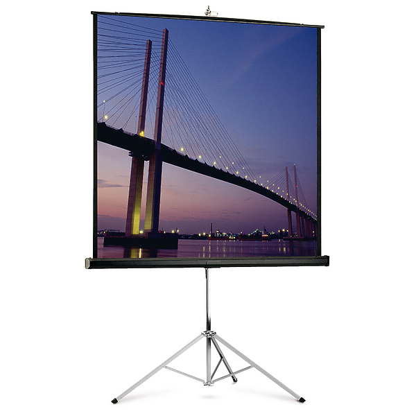 Экран Projecta [10430089]  Picture King 124 x 213 cm Matte White на штативе 16:9 артикул 225406Si-1