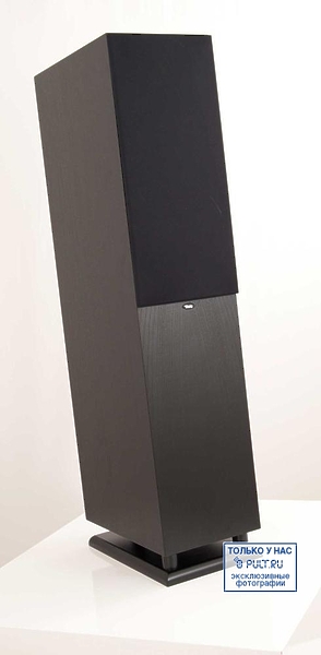 Chario Syntar 533 black ash артикул 400322FV-1 фото 6