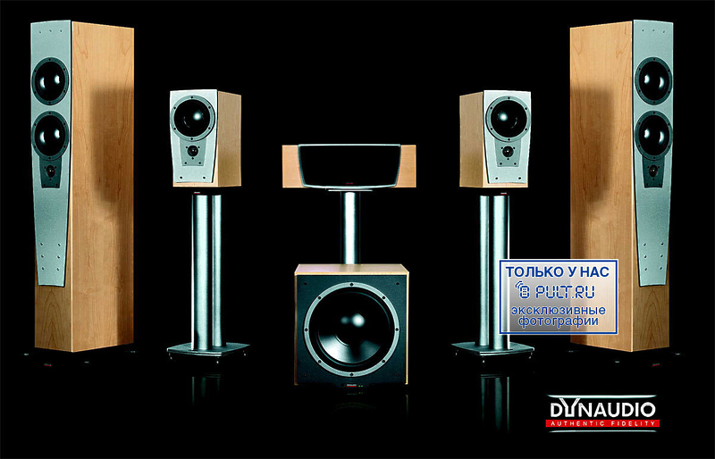 Напольная акустика Dynaudio Contour S3.4 rosewood артикул 398420FV-1 фото 8