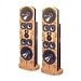 Напольная акустика Legacy Audio Whisper XD olive ash burl