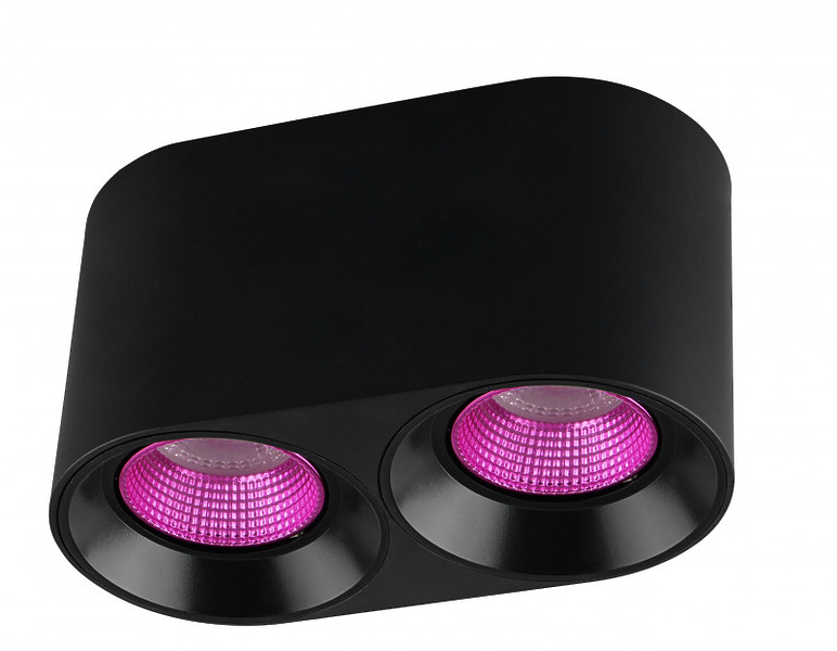 Светильник накладной Denkirs DK3096-BK+PI (Black Pink) артикул 270716Si-1
