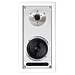 Настенная акустика Audiovector OnWall Super White