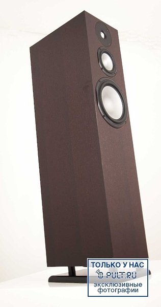 Chario Syntar 533 wenge артикул 400282FV-1 фото 11