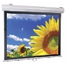Экран ScreenMedia Cyber-P 231*231 FMW