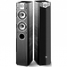 Напольная акустика Focal-JMlab Chorus 716 V black ash