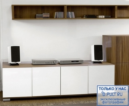 Стойка для колонок Dynaudio SF 1 silver артикул 316756FV-1 фото 4