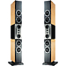 Акустическая система Dynaudio Evidence Master birds eye maple