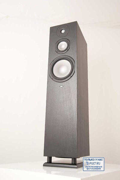 Chario Syntar 533 black ash артикул 400322FV-1 фото 8