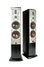 Напольная акустика Dali Mentor 5 black satin