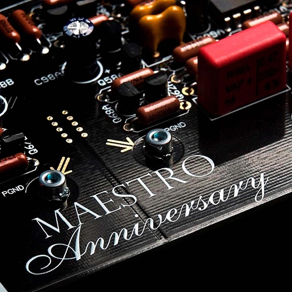 Интегральный усилитель Audio Analogue Maestro Anniversary RR Silver артикул 314207Si-1 фото 8