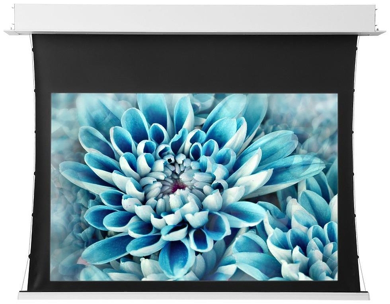 Экран Viewscreen Annex 16:10 123" 264*165 White Casing (с ИК пультом) артикул 256174Si-1