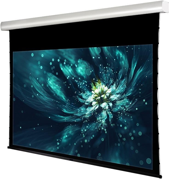 Экран Viewscreen Premium 16:10 164" 353*220 White Casing артикул 256185Si-1 фото 3