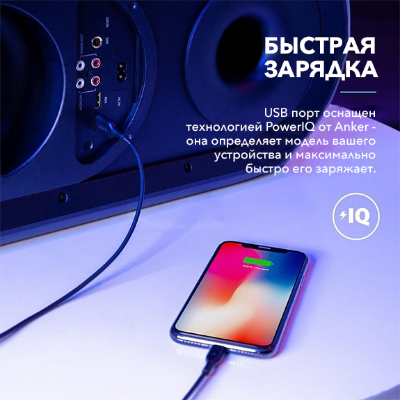 Портативная акустика Soundcore by Anker Rave+ артикул 267086Si-1 фото 3