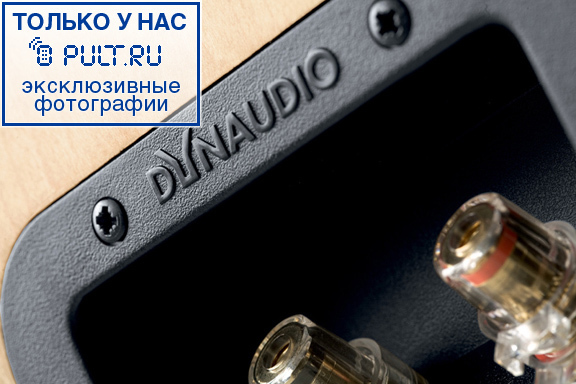 Центральный канал Dynaudio Excite X22C Rosewood артикул 433709FV-1 фото 9