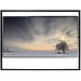 LED телевизор Samsung UE-85S9