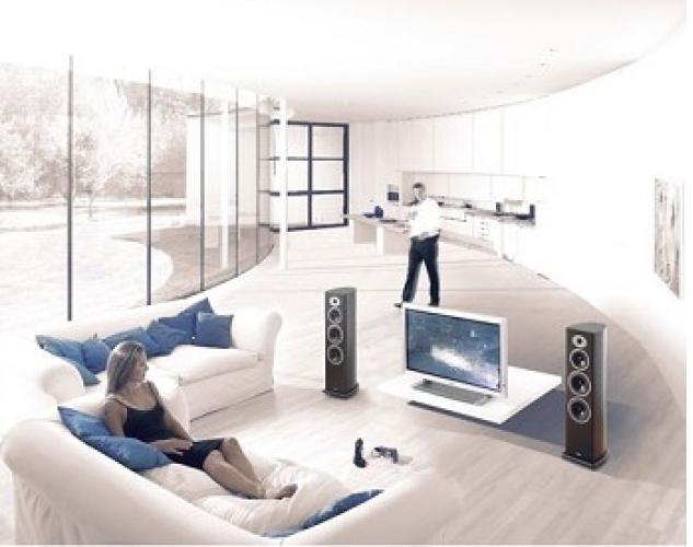 Напольная акустика Acoustic Energy AELITE 3 bl ash артикул 428983FV-1 фото 5