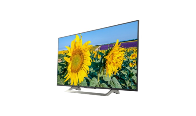LED телевизор Sony KD-49XF8096BR2 артикул 176146Si-1 фото 4
