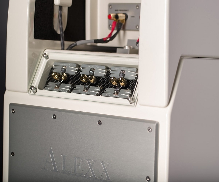Напольная акустика Wilson Audio Alexx Oak Green артикул 229119Si-1 фото 3