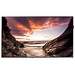LED панель Samsung PM49F