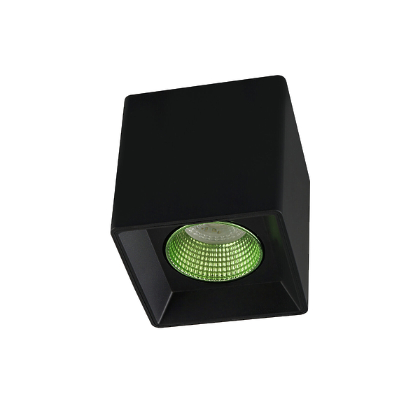 Светильник накладной Denkirs DK3080-BK+GR (Black Green) артикул 270652Si-1