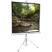 Экран ScreenMedia Apollo 244*183 MW (SAM-4304)