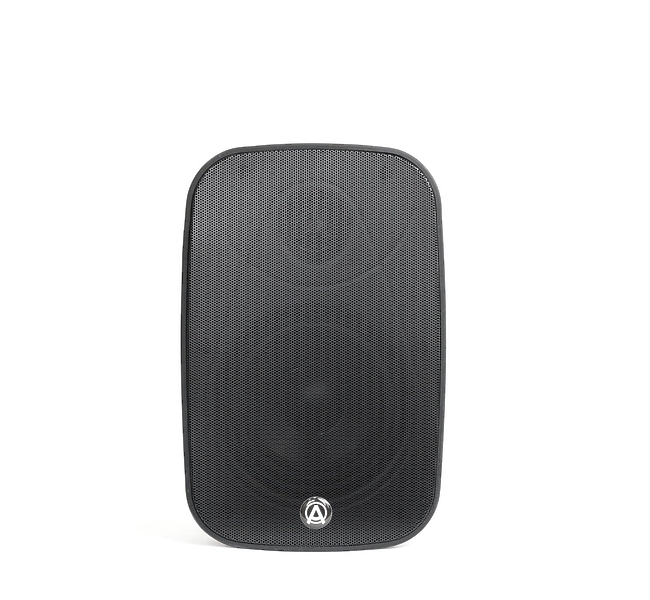 Трансляционная акустика AuraSonics DENSE-5T артикул 298048Si-1