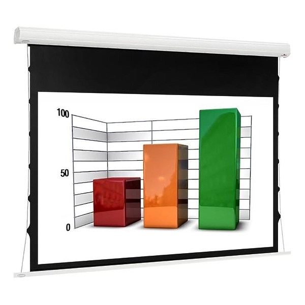 Экран Euroscreen Diplomat Electric Video (4:3) 240*210cm (VA230*172,5) TabT Flexwhite case white артикул 174417Si-1
