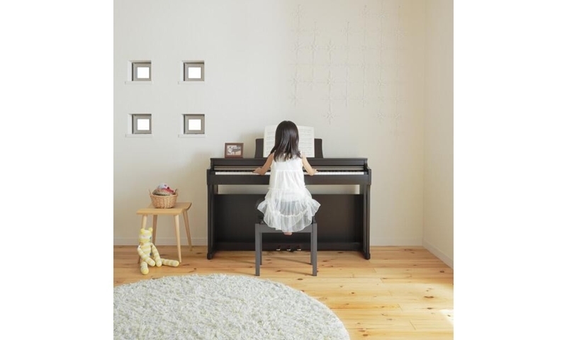 Клавишный инструмент Kawai CN25B артикул 136206Si-1 фото 3
