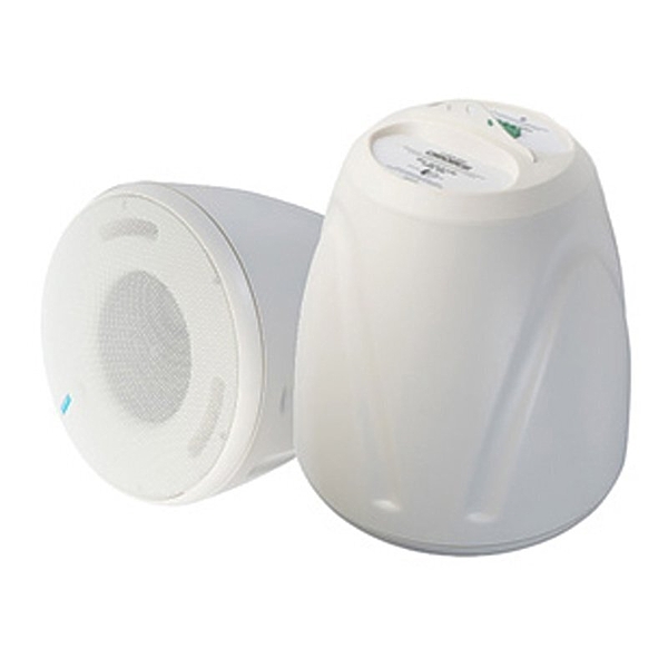 Акустическая система CVGaudio CS608TW артикул 180489Si-1