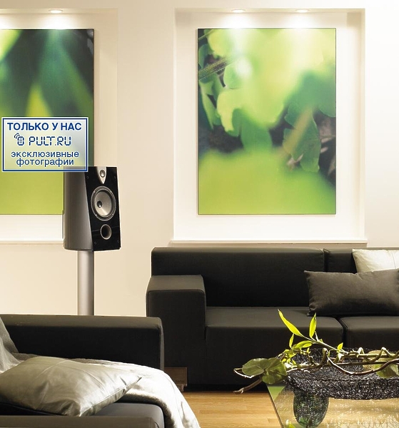 Акустическая система Focal-JMlab Profile 908 classic артикул 444464FV-1 фото 3