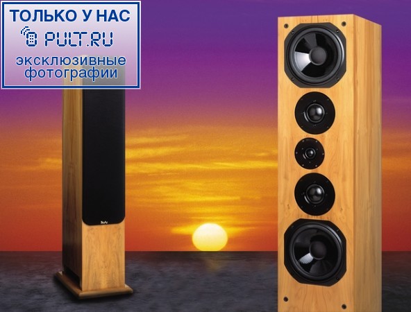 Акустическая система ProAc Response D80 mahogany артикул 403214FV-1 фото 5