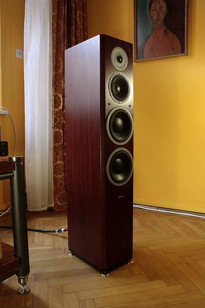 Напольная акустика Dynaudio Focus 340 rosewood артикул 397885FV-1 фото 6
